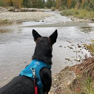 Meet your Posher, Chandra